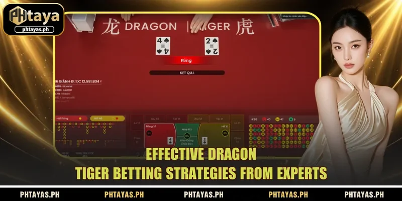 effective-dragon-tiger-betting-strategies-from-experts